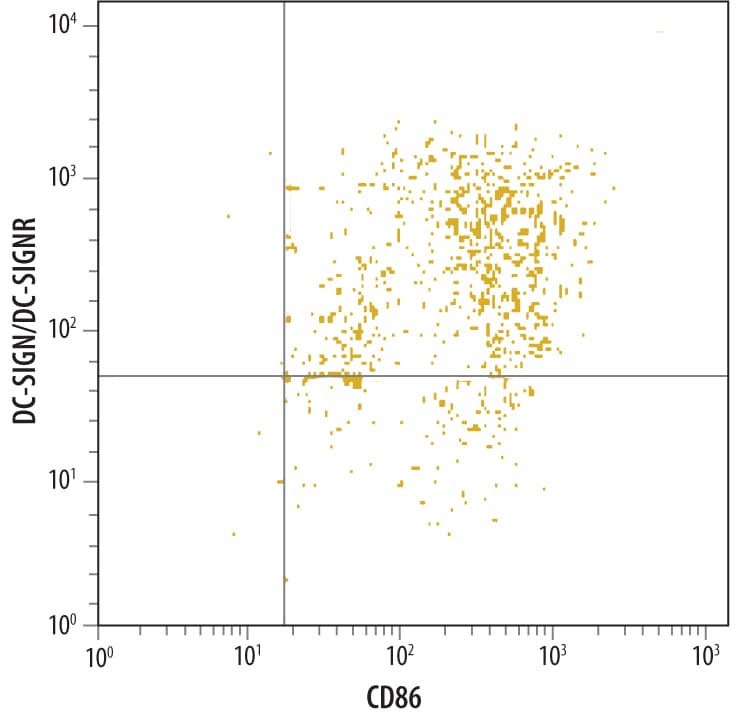 Detection of DC‑SIGN+DC‑SIGNR antibody in Human Monocyte Derived Dendritic Cells antibody by Flow Cytometry.