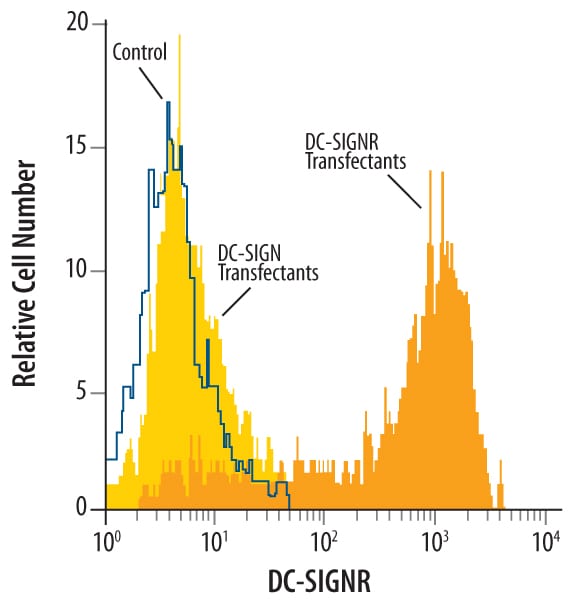 Detection of DC-SIGNR/CD299 antibody in Human DC-SIGNR/CD299 Transfected 3T3 Mouse Cell Line antibody by Flow Cytometry.