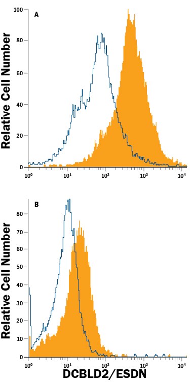 Detection of DCBLD2/ESDN antibody in NCI-H460 Human Cell Line and bEnd.3 Mouse Cell Line antibody by Flow Cytometry.