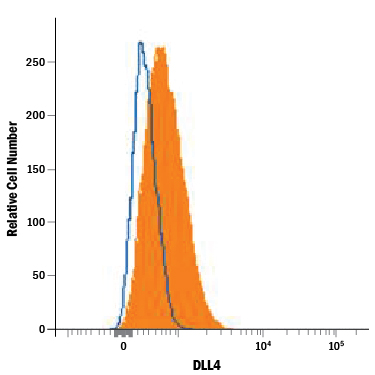 Detection of DLL4 antibody in HUVEC Human Cells antibody by Flow Cytometry.
