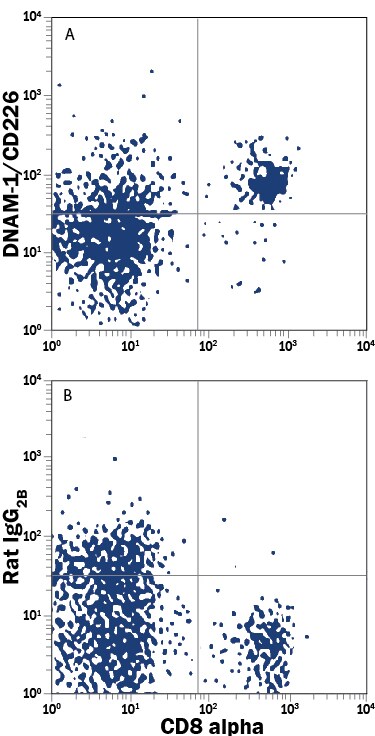 Detection of DNAM-1/CD226 antibody in Mouse Splenoctyes antibody by Flow Cytometry.