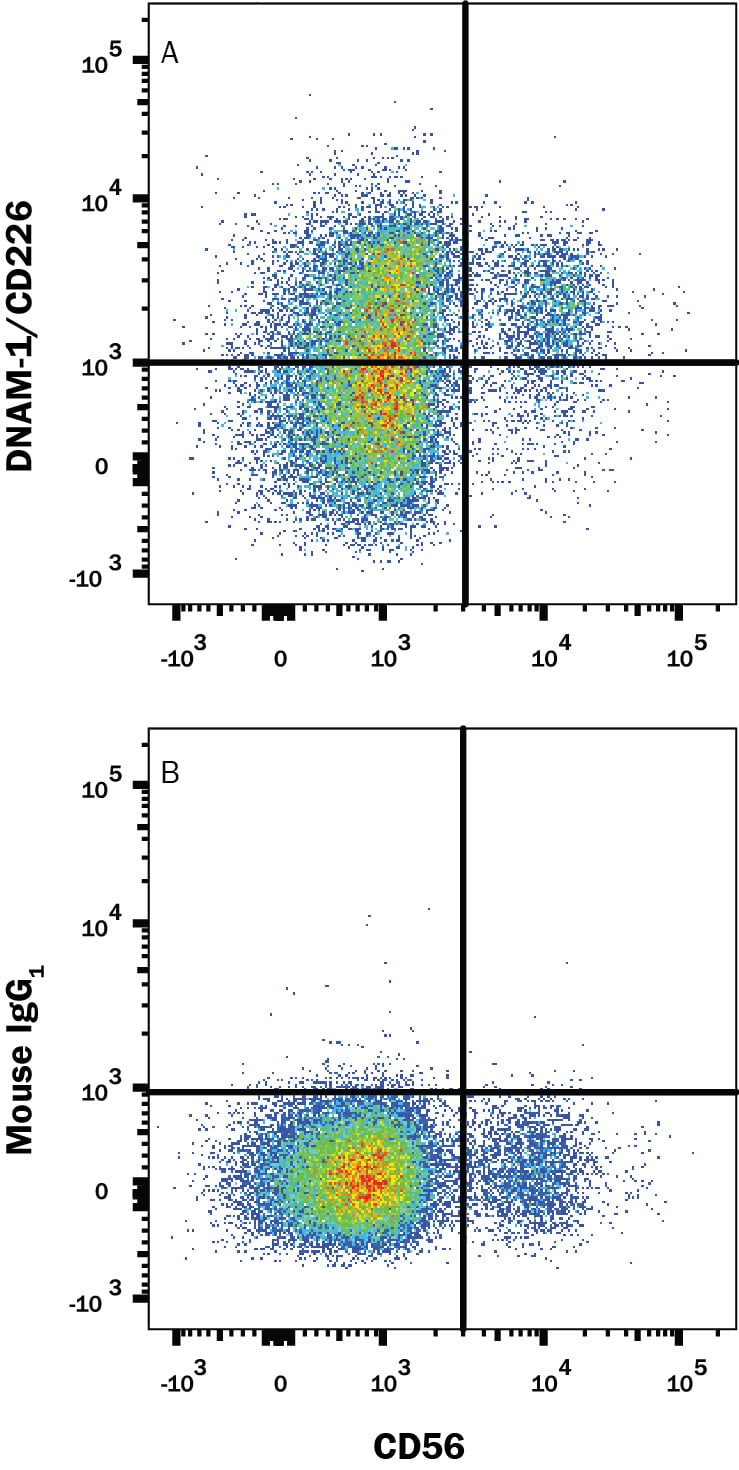 Detection of DNAM-1/CD226 antibody in Human Blood Lymphocytes antibody by Flow Cytometry.