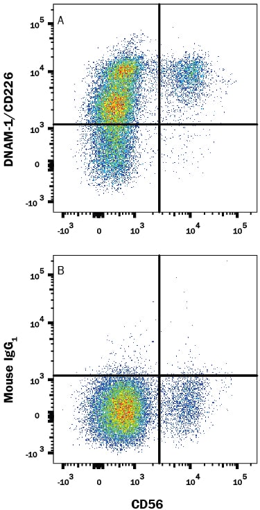 Detection of DNAM-1/CD226 antibody in Human PBMCs antibody by Flow Cytometry.