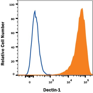 Detection of Dectin-1/CLEC7A antibody in HEK293 Human Cell Line transfected with Mouse Dectin-1/CLEC7A antibody by Flow Cytometry.