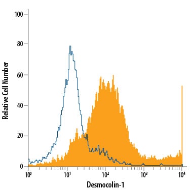 Detection of Desmocollin-1 antibody in A549 Human Cell Line antibody by Flow Cytometry.