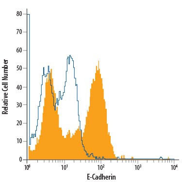 Detection of E-Cadherin antibody in D3 Mouse Cell Line antibody by Flow Cytometry.