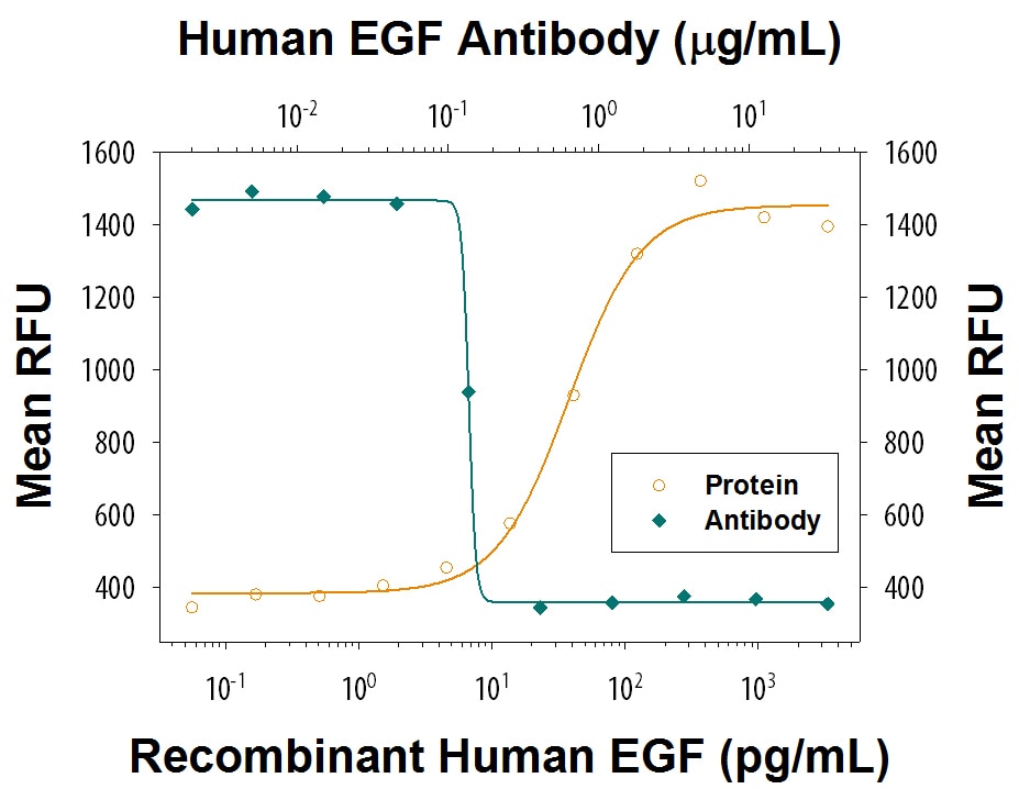 Cell Proliferation Induced by EGF and Neutralization by Human EGF Antibody.