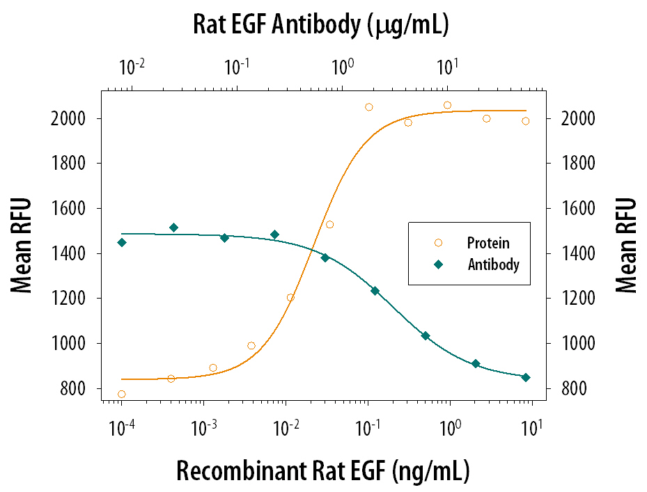 Cell Proliferation Induced by EGF and Neutralization by Rat EGF Antibody.
