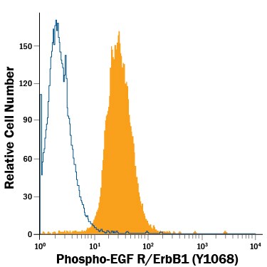 Detection of EGF R/ErbB1 antibody in A431 Human Cell Line antibody by Flow Cytometry.