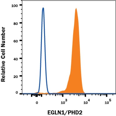 Detection of EGLN1/PHD2 antibody in Human Jurkat cell line antibody by Flow Cytometry.