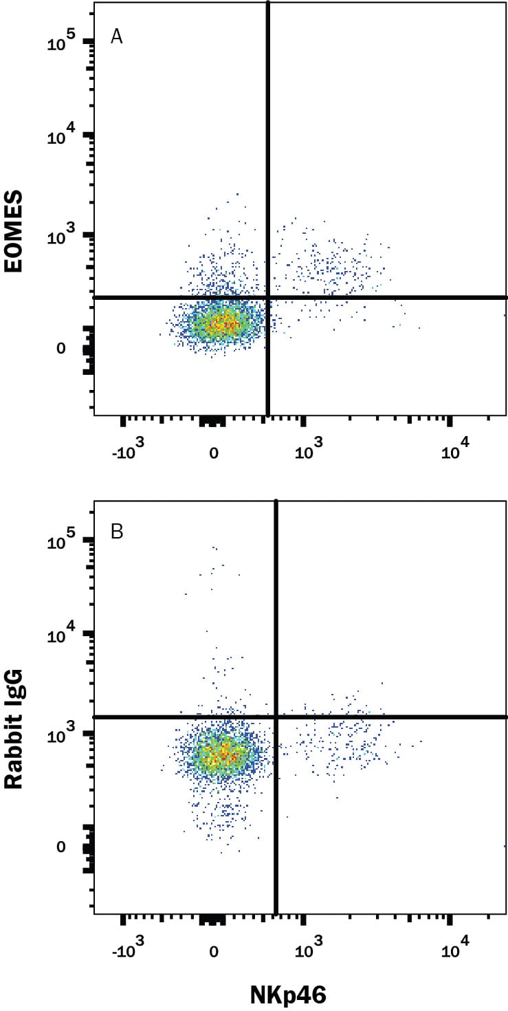 Detection of EOMES antibody in Mouse Splenoctyes antibody by Flow Cytometry.