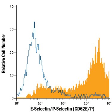 Detection of E-Selectin/P-Selectin (CD62E/P) antibody in HUVEC Human Cells antibody by Flow Cytometry.