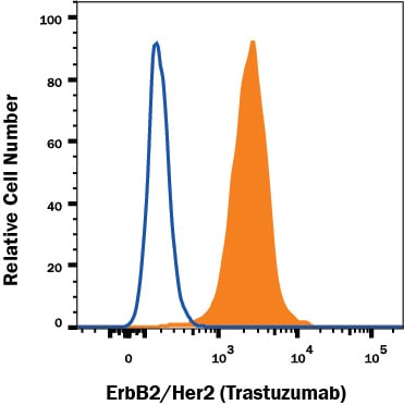 Detection of ErbB2/Her2 antibody in MCF-7 human cell line antibody by Flow Cytometry.