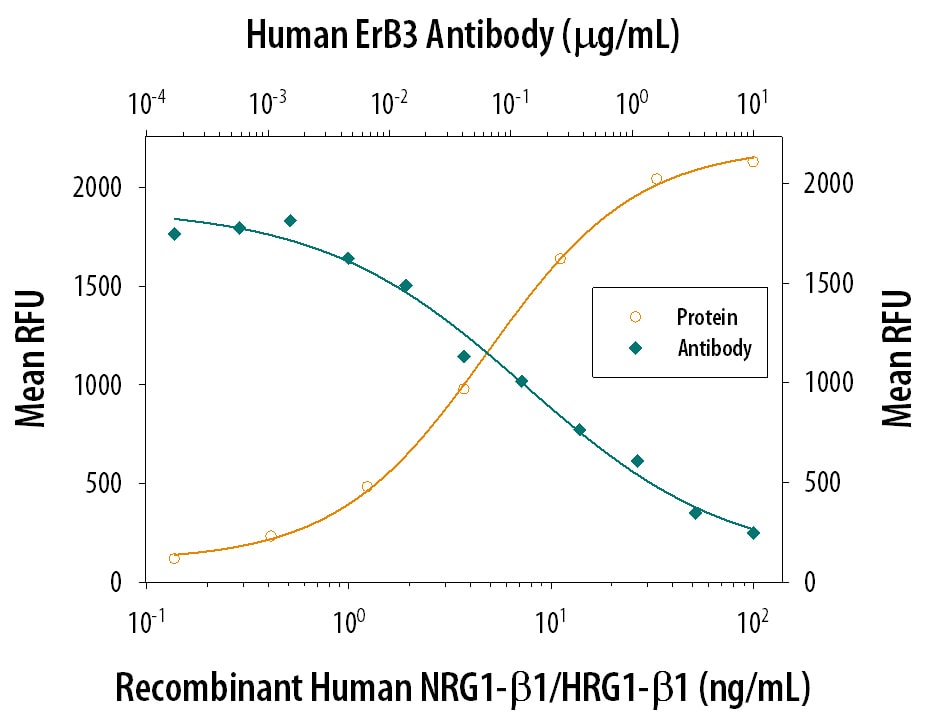 Cell Proliferation Induced by NRG1‑ beta 1/HRG1‑ beta 1 and Neutralization by Human ErbB3/Her3 Antibody.