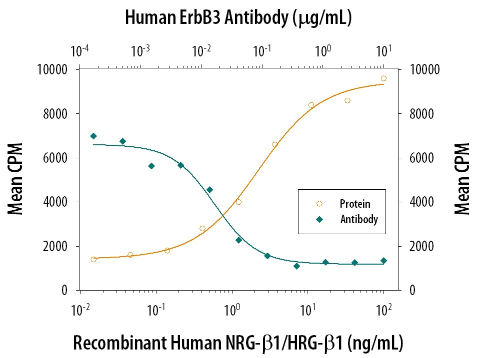 Cell Proliferation Induced by NRG1‑ beta 1/HRG1‑ beta 1 and Neutralization by Human ErbB3/Her3 Antibody.