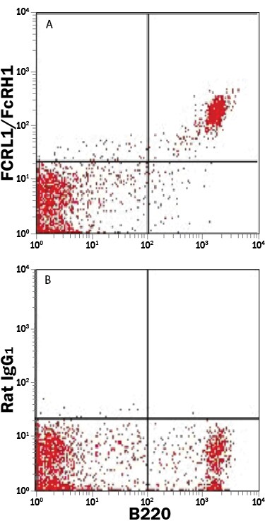 Detection of FCRL1/FcRH1 antibody in Mouse Splenocytes antibody by Flow Cytometry.