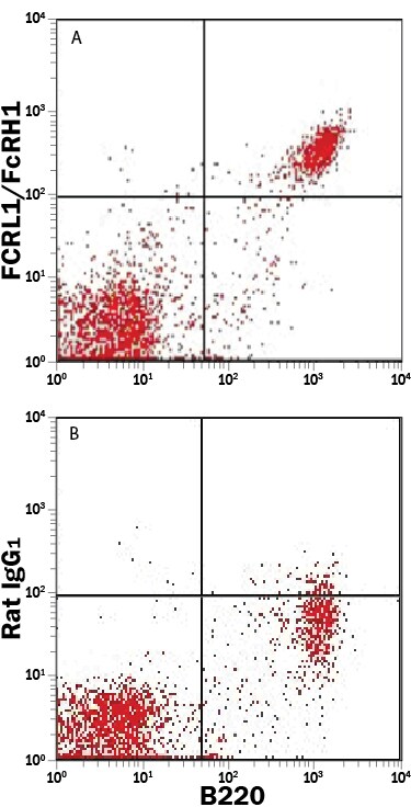 Detection of FCRL1/FcRH1 antibody in Mouse Splenocytes antibody by Flow Cytometry.