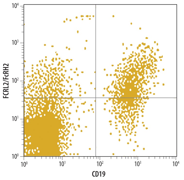 Detection of FCRL2/FcRH2 antibody in Human PBMCs antibody by Flow Cytometry.