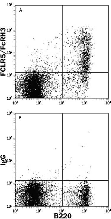 Detection of FCRL5 antibody in Mouse Splenocytes antibody by Flow Cytometry.