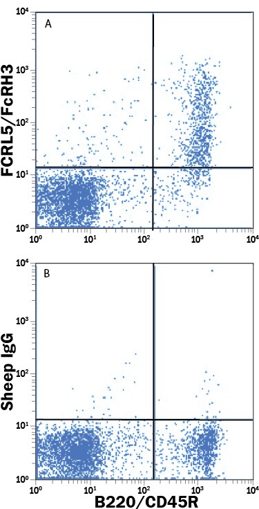 Detection of FCRL5 antibody in Mouse Splenocytes antibody by Flow Cytometry.