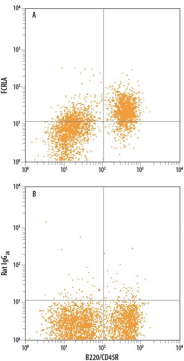 Detection of FCRLA antibody in Mouse Splenocytes antibody by Flow Cytometry.