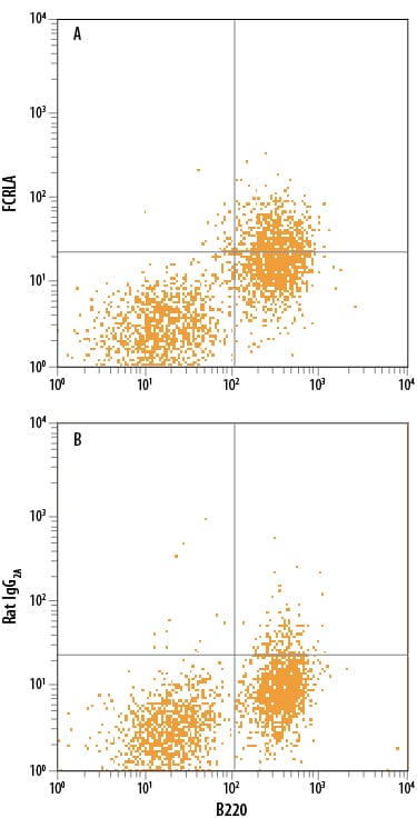 Detection of FCRLA antibody in Mouse Splenocytes antibody by Flow Cytometry.