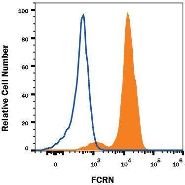 Detection of FCRN antibody in U937 Human Cell Line antibody by Flow Cytometry.