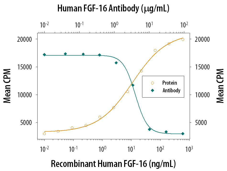 Cell Proliferation Induced by FGF‑16 and Neutralization by Human FGF‑16 Antibody.