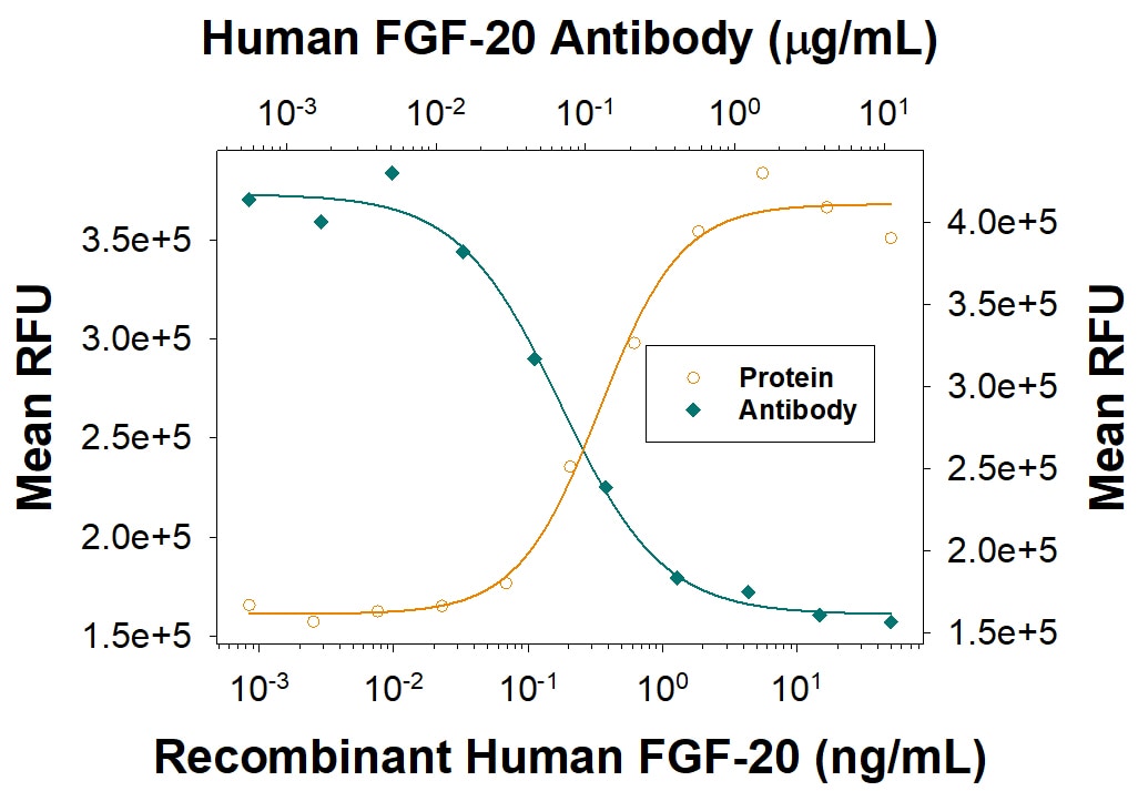 Cell Proliferation Induced by FGF‑20 and Neutralization by Human FGF‑20 Antibody.