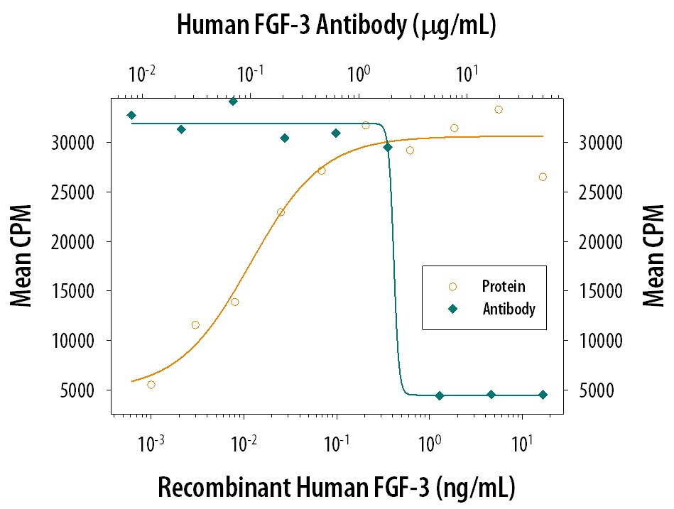 Cell Proliferation Induced by FGF‑3 and Neutralization by Human FGF‑3 Antibody.