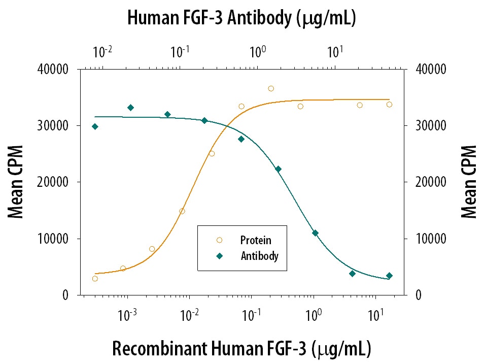 Cell Proliferation Induced by FGF‑3 and Neutralization by Human FGF‑3 Antibody.