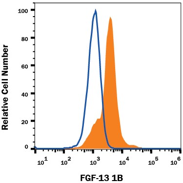 Detection of FGF-13 antibody in RPMI 8226 Human Cell Line antibody by Flow Cytometry.