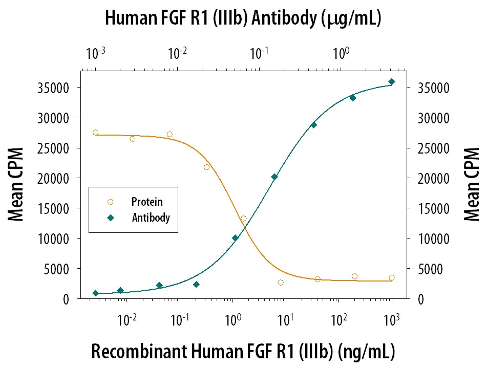 FGF R1 alpha  Inhibition of FGF acidic-dependent Cell Proliferation and Neutralization by Human FGF R1 Antibody.