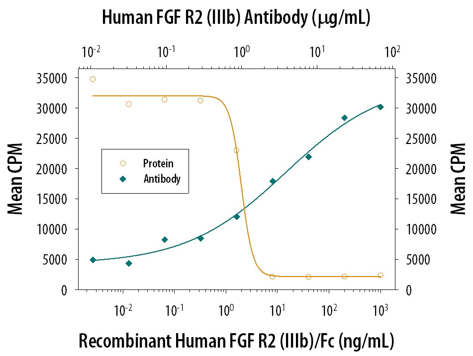 FGF R2 alpha  Inhibition of FGF acidic-dependent Cell Proliferation and Neutralization by Human FGF R2 Antibody.