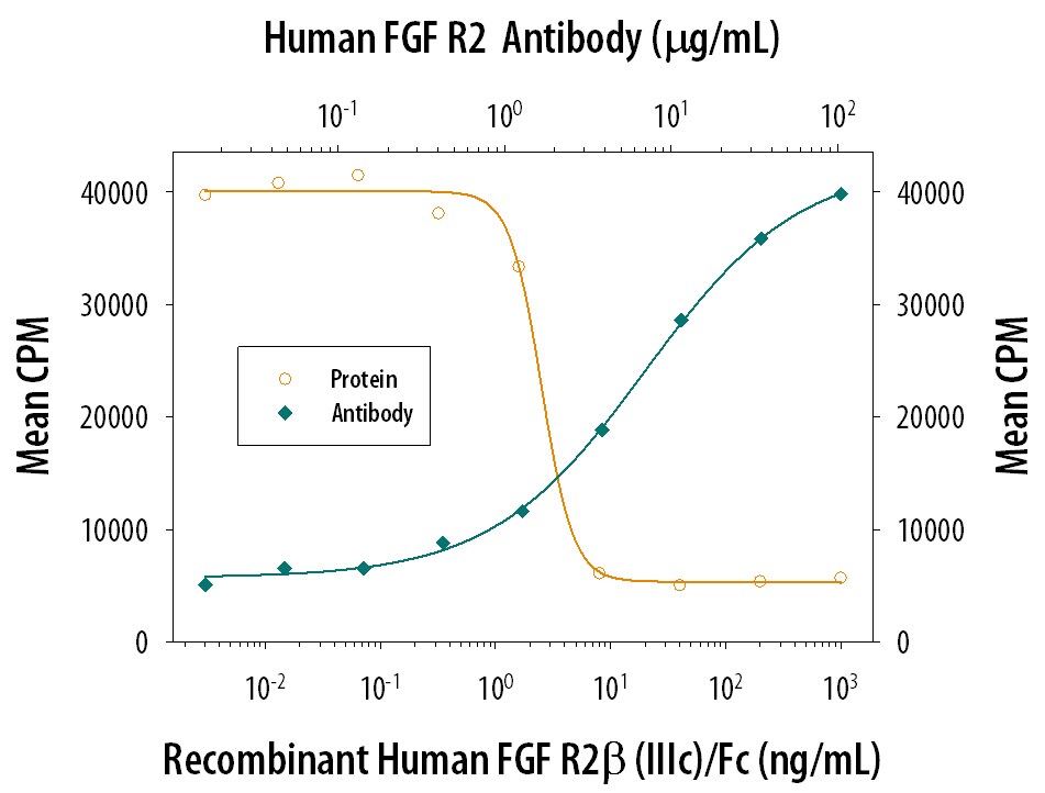 FGF R2 beta  Inhibition of FGF acidic-dependent Cell Proliferation and Neutralization by Human FGF R2 Antibody.