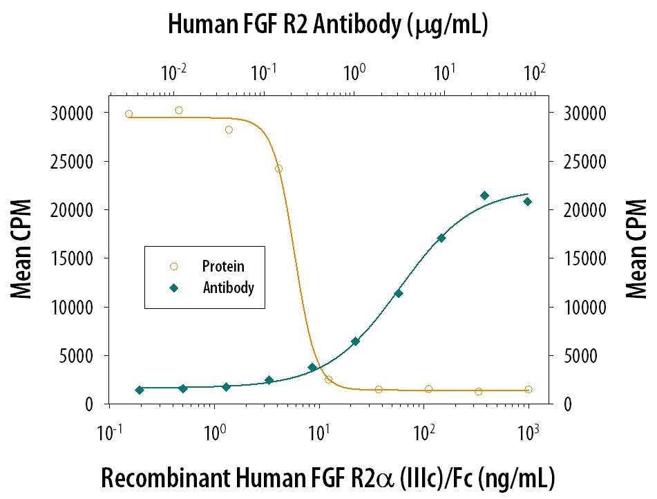 FGF R2 alpha  Inhibition of FGF acidic-dependent Cell Proliferation and Neutralization by Human FGF R2 Antibody.