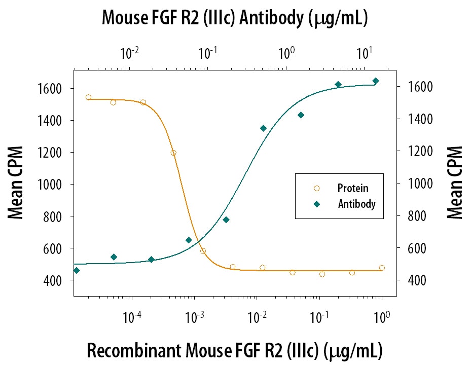 FGF R2 beta  Inhibition of FGF acidic-dependent Cell Proliferation and Neutralization by Rat Anti-Mouse FGF R2 Antibody.