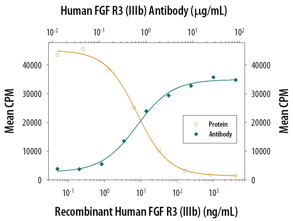 FGF R3 Inhibition of FGF acidic-dependent Cell Proliferation and Neutralization by Human FGF R3 Antibody.
