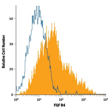 Detection of FGF R4 antibody in MCF-7 Human Cell Line antibody by Flow Cytometry.