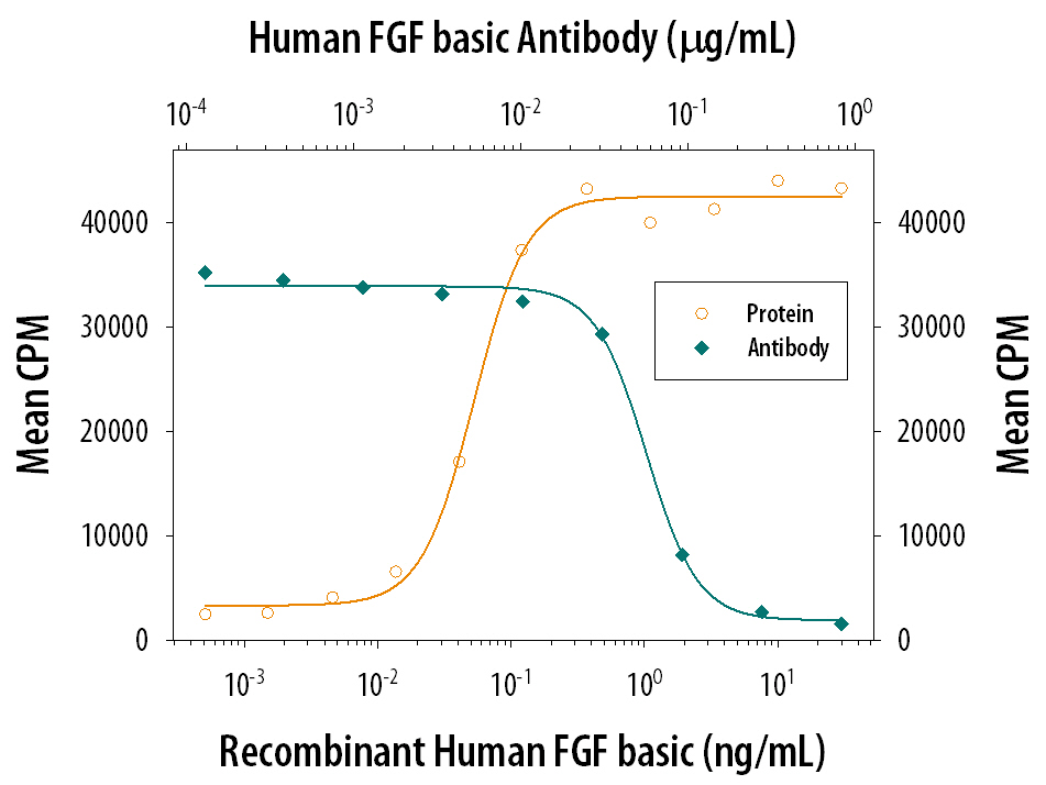 Cell Proliferation Induced by FGF basic/FGF2/bFGF and Neutralization by Human FGF basic/FGF2/bFGF Antibody.