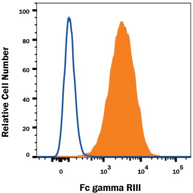Detection of Fc gamma RIII (CD16) antibody in RAW 264.7 Mouse Cell Line antibody by Flow Cytometry.