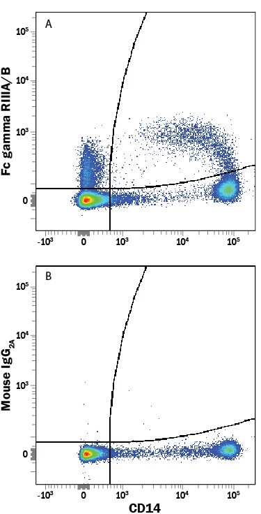 Detection of Fc gamma RIII (CD16) antibody in Human PBMCs antibody by Flow Cytometry.