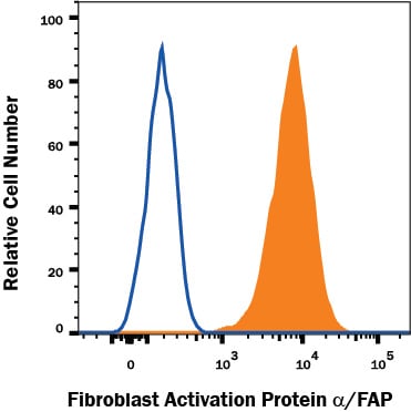 Detection of Fibroblast Activation Protein alpha /FAP antibody in WI-38 Human Cell Line antibody by Flow Cytometry.