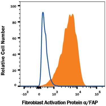 Detection of Fibroblast Activation Protein a/FAP antibody in WI-38 Human Cell Line antibody by Flow Cytometry.
