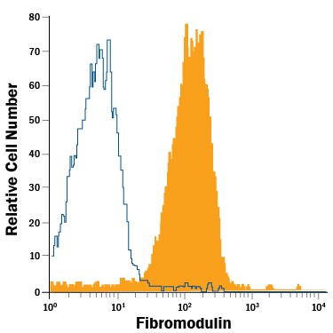 Detection of Fibromodulin/FMOD antibody in MG-63 Human Cell Line antibody by Flow Cytometry.