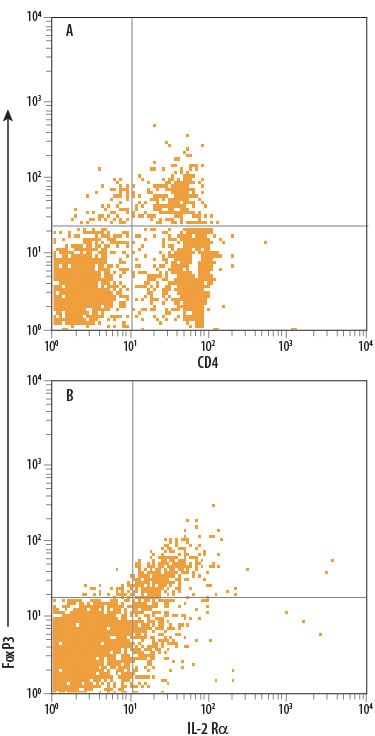 Detection of FoxP3 antibody in Human PBMCs antibody by Flow Cytometry.