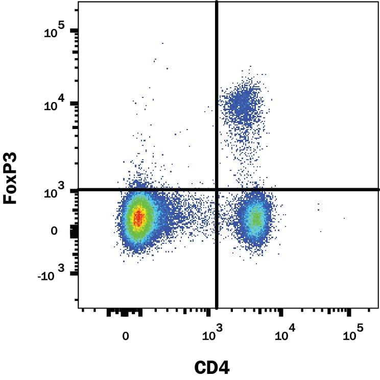 Detection of FoxP3 antibody in Mouse Splenocytes antibody by Flow Cytometry.