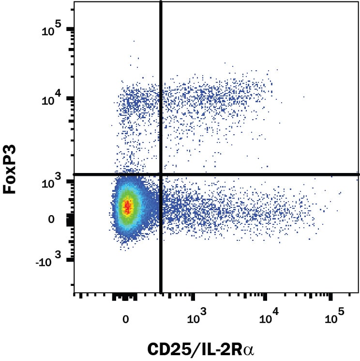 Detection of FoxP3 antibody in Mouse Splenocytes antibody by Flow Cytometry.