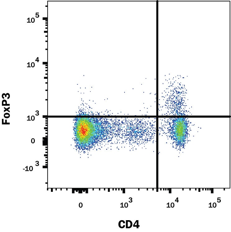 Detection of FoxP3 antibody in Rat Splenocytes antibody by Flow Cytometry.