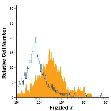 Detection of Frizzled-7 antibody in RA Treated D3 Mouse Cell Line antibody by Flow Cytometry.